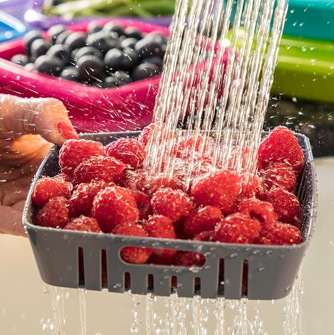Hutzler 3-in-1 Bitty Box Berry Keeper, Berry Colander & Saver Container, 9oz / 1 Cup Capacity, Red