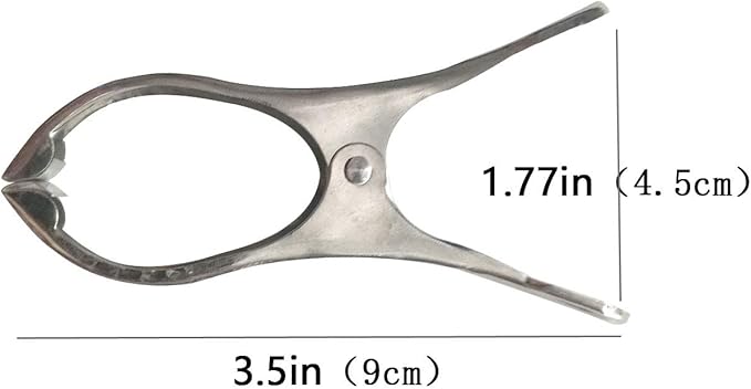 10 Pack 3.5 Inch Heavy Duty Stainless Steel Clips, Large Alligator Clips, Jumbo Binder Clips, Multipurpose Clothes Pins for Laundry, Beach Towel, Pool Cover, Curtains & Outdoor Use