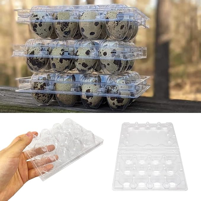 50 Pcs Quail Egg Cartons,12 Grids Small Egg Storage Holders,Quail Eggs Bulk Carton Trays for Small Eggs,Quail,Pheasant,Pigeon Eggs