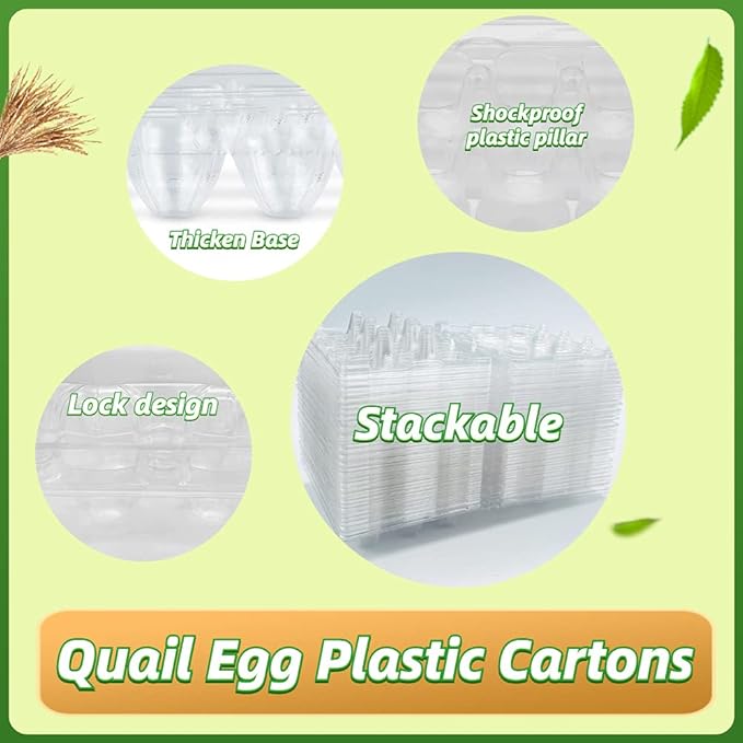 50 Pcs Quail Egg Cartons,12 Grids Small Egg Storage Holders,Quail Eggs Bulk Carton Trays for Small Eggs,Quail,Pheasant,Pigeon Eggs