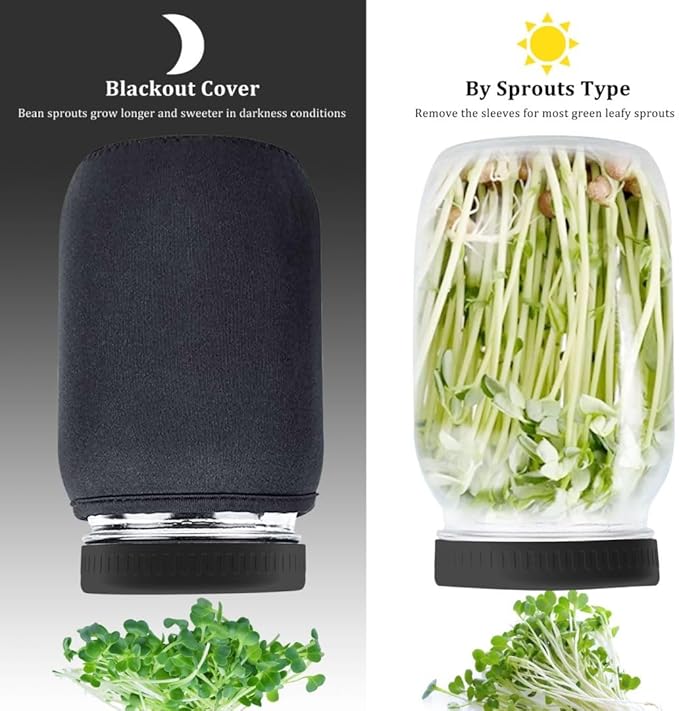 Kitmiido Organic Seed Sprouting Jar Kit – 2 × 32 oz Wide-Mouth Mason Jars with Stainless-Steel Sprouter Lids & Stand, Blackout Sleeves, Drain Tray – Grow Broccoli, Alfalfa & Bean Microgreens