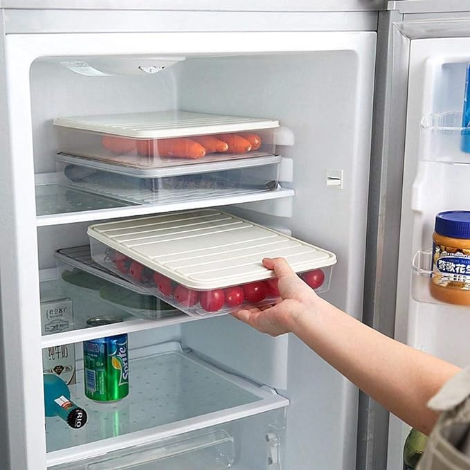 Food Storage Containers 11.02×8.85×1.81" Vegetable Organizer with Lid Clear Fridge Crisper Keep Food Fresh Kitchen Organizer Bins (2 x Large)