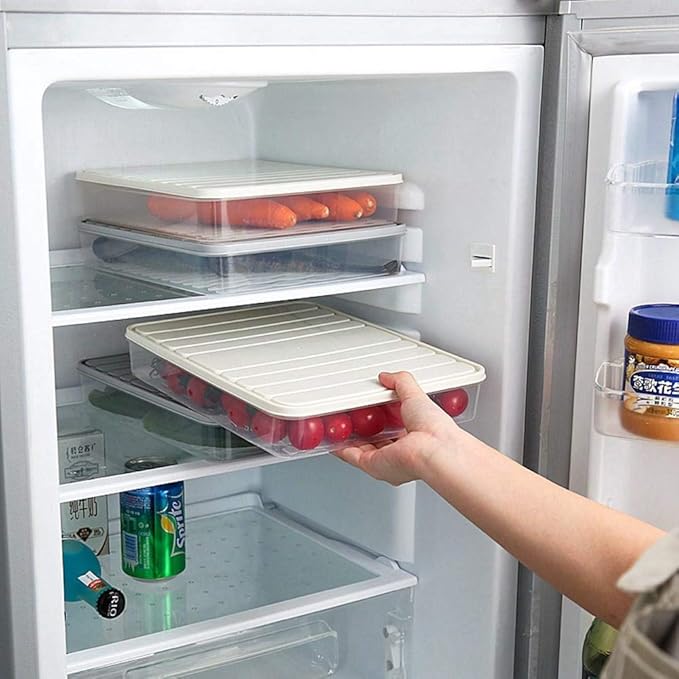 Food Storage Bin Vegetable Organizer with Lid Clear Fridge Crisper Keep Food Fresh BPA Free Kitchen Organizer Bins (Grey-L-SIZE with MAT)