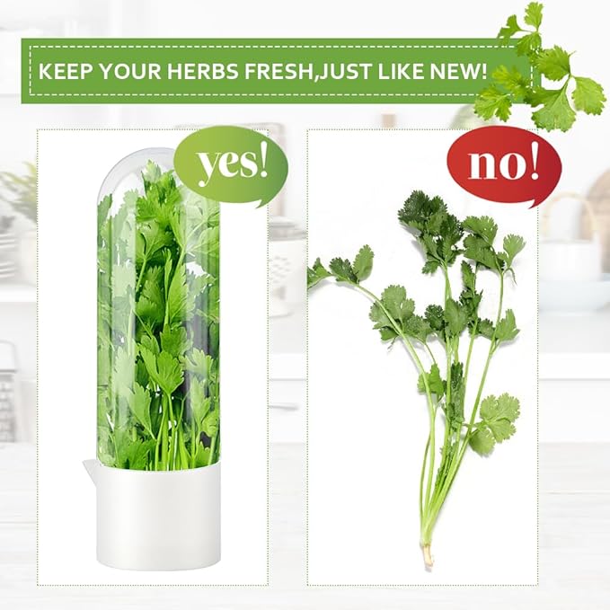 Fresh Herb Saver Cilantro Storage Containers for Refrigerator, Transparent Herbs Saver fits Fridge Asparagus Parsley Mint Leaves, Keeps Greens Vegetables for 2-3 Weeks(SIZE:2 pcs)