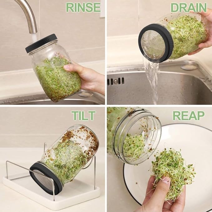 Kitmiido Organic Seed Sprouting Jar Kit – 2 × 32 oz Wide-Mouth Mason Jars with Stainless-Steel Sprouter Lids & Stand, Blackout Sleeves, Drain Tray – Grow Broccoli, Alfalfa & Bean Microgreens