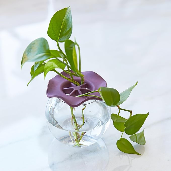 Modern Sprout Botanical Keeper for Floral Arranging & Plant Propagation - Eco-Friendly, BPA-Free, Sustainable Materials - Hydration Tray - Gift for Plant Lovers and Gardeners - 2 Pack