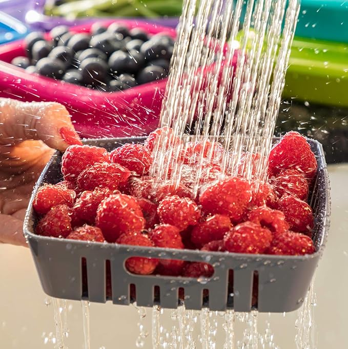 Hutzler 3-in-1 Bitty Box Berry Keeper, Berry Colander & Saver Container, 9oz / 1 Cup Capacity, Turquoise