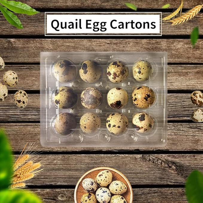 50 Pcs Quail Egg Cartons,12 Grids Small Egg Storage Holders,Quail Eggs Bulk Carton Trays for Small Eggs,Quail,Pheasant,Pigeon Eggs