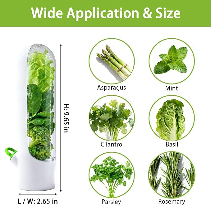 3 Pack Cilantro Container for Fridge Herb Saver Fresh Herb Keeper with Removable Silicone Drain Plug Vegetable Preservation Storage Container for Mint Basil Extend Freshness Up to 2-3 Weeks