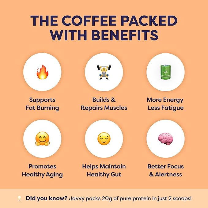 Iced Cinnamon Roll Protein Iced Coffee - Premium Whey Protein & Instant Iced Coffees - 100% Natural Cold Brew - Zero Artificial Flavors & Sweeteners, 80 mg Caffeine, No Added Sugar, 20 Servings