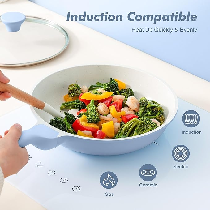 SENSARTE Nonstick Ceramic Frying Pan with Lid 9.5 Inch Omelet Pan Skillet, Free of Intentionally Added PFAS/PTFE Non-toxic Chef's Pan Induction Compatible Pan, Heat Resistant Handle, Glacier Blue