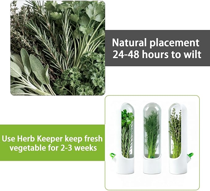 3 Pack Cilantro Container for Fridge Herb Saver Fresh Herb Keeper with Removable Silicone Drain Plug Vegetable Preservation Storage Container for Mint Basil Extend Freshness Up to 2-3 Weeks