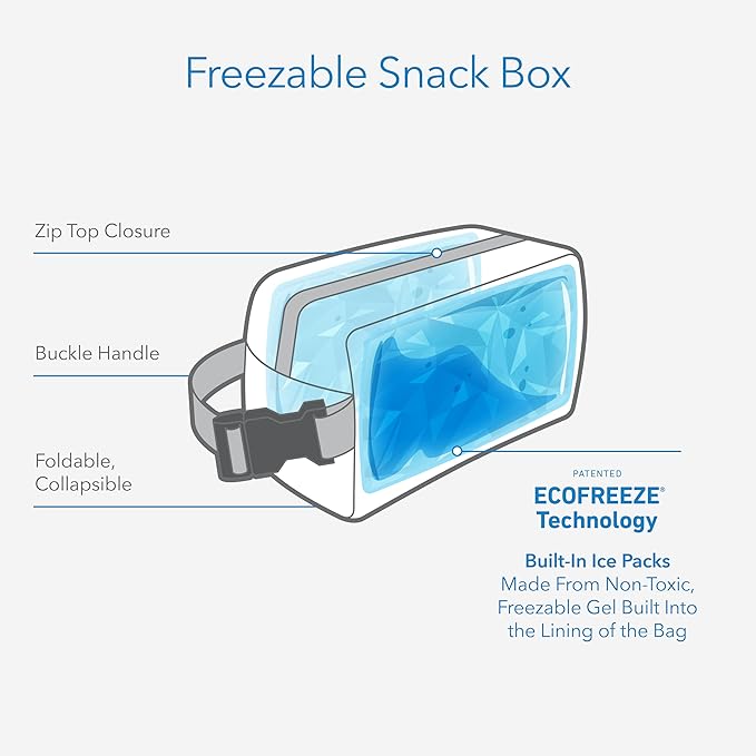 PackIt Freezable Small Insulated Snack Box, Diamond Chevron, with EcoFreeze Technology (Built-in Ice Pack), Mini Cooler or Small Lunch Bag, For Fresh Snacks On the Go, for Work, Gym, or Travel