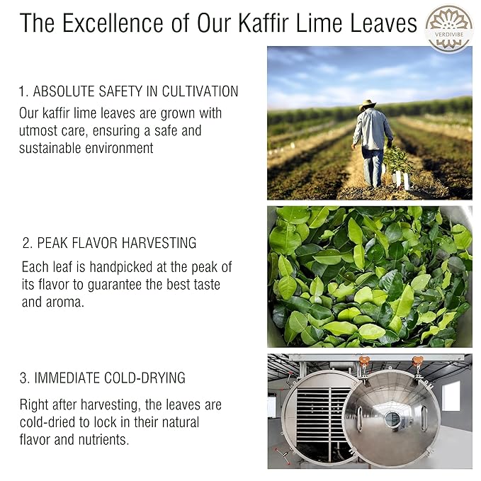 Premium Dried Kaffir Lime Leaves - 0.51 oz (14.5g) Pack for Authentic Thai Flavor (D)